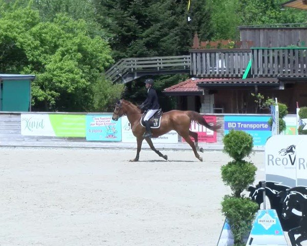 Reitturnier Schüpfheim 2025