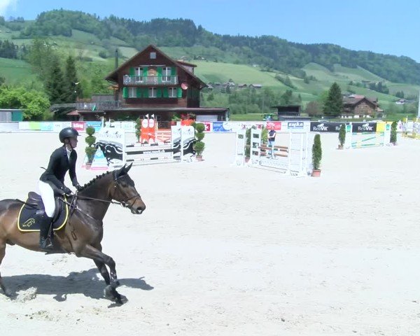 Reitturnier Schüpfheim 2025
