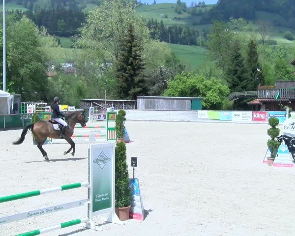 Reitturnier Schüpfheim 2025