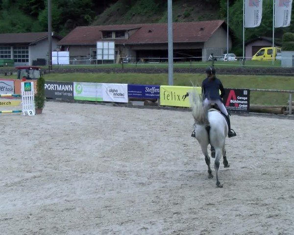 Reitturnier Schüpfheim 2025