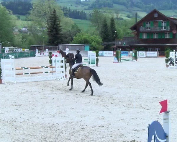 Reitturnier Schüpfheim 2025
