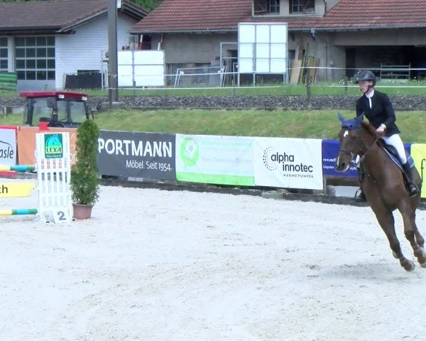 Reitturnier Schüpfheim 2025