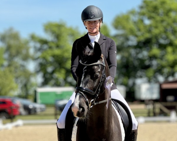 broodmare Kamira PP (KWPN (Royal Dutch Sporthorse), 2019, from Kremlin Md) broodmare Kamira PP (KWPN (Royal Dutch Sporthorse), 2019, from Kremlin Md)