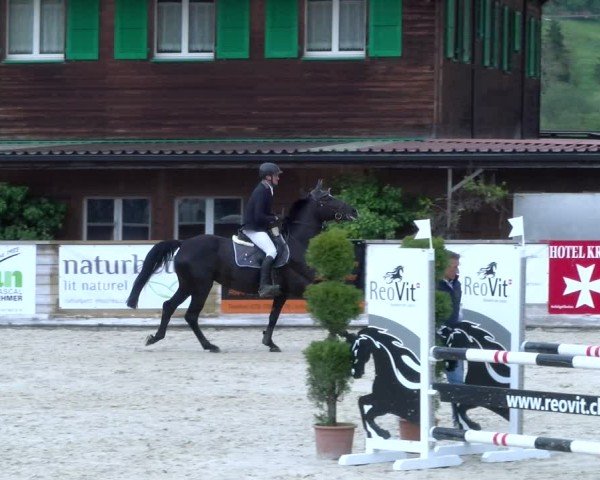 Reitturnier Schüpfheim 2025