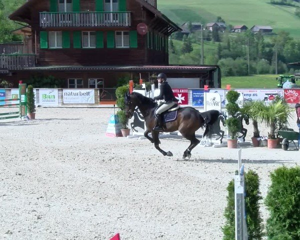Reitturnier Schüpfheim 2025
