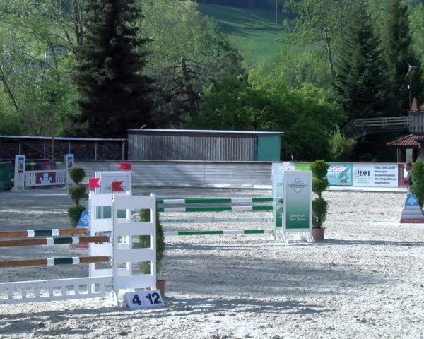 Reitturnier Schüpfheim 2025