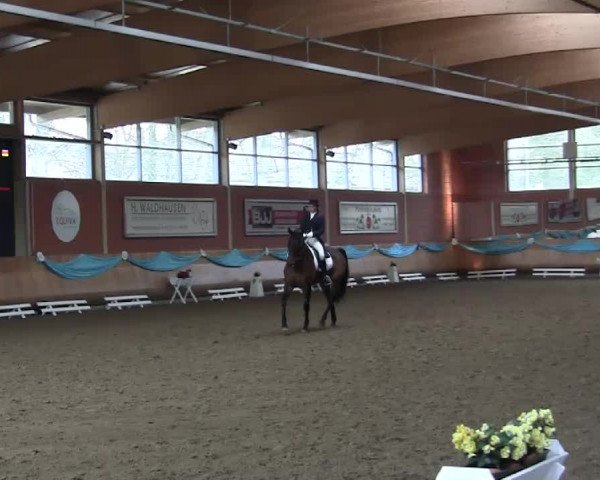 EQUIVA Dressur - Gala - Mönchengladbach - Schloss Wickrath 2014