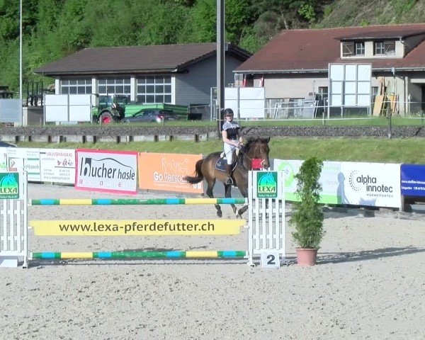 Reitturnier Schüpfheim 2025