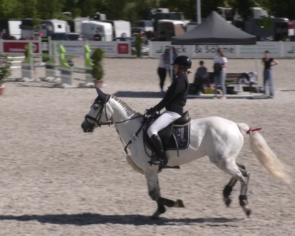 Reitturnier Babenhausen 2025