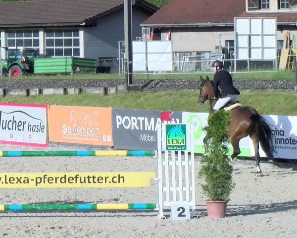 Reitturnier Schüpfheim 2025