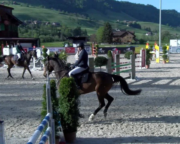 Reitturnier Schüpfheim 2025