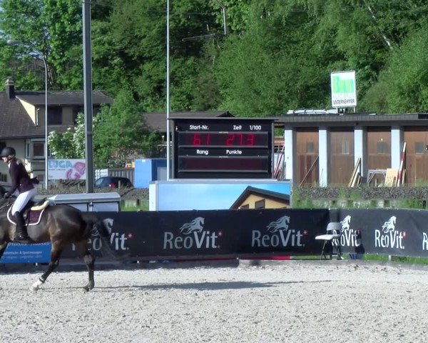 Reitturnier Schüpfheim 2025