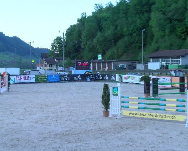 Reitturnier Schüpfheim 2025
