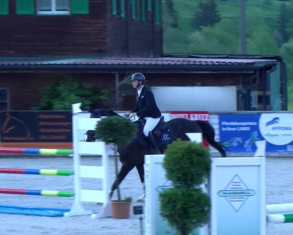 Reitturnier Schüpfheim 2025