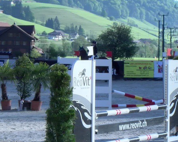 Reitturnier Schüpfheim 2025