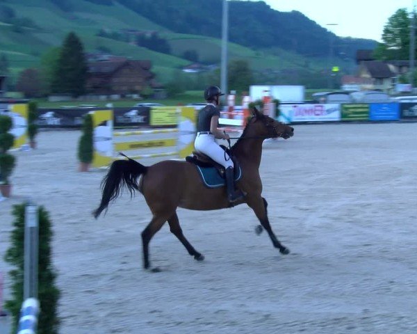 Reitturnier Schüpfheim 2025