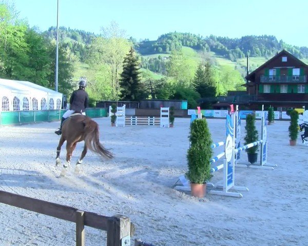 Reitturnier Schüpfheim 2025