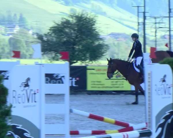 Reitturnier Schüpfheim 2025