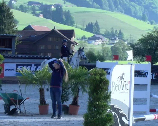 Reitturnier Schüpfheim 2025