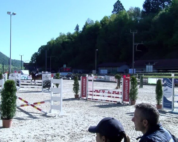 Reitturnier Schüpfheim 2025