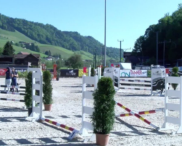 Reitturnier Schüpfheim 2025