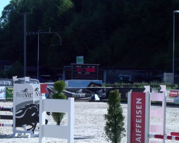 Reitturnier Schüpfheim 2025