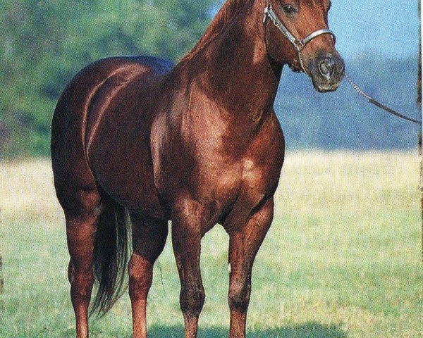 Pferd Julias Peppy (Quarter Horse, 1988, von Peppy San Badger)