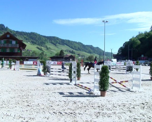 Reitturnier Schüpfheim 2025