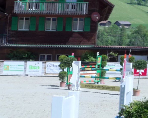 Reitturnier Schüpfheim 2025