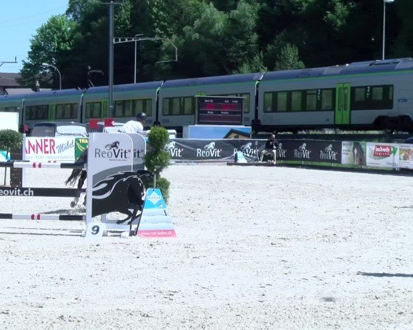 Reitturnier Schüpfheim 2025