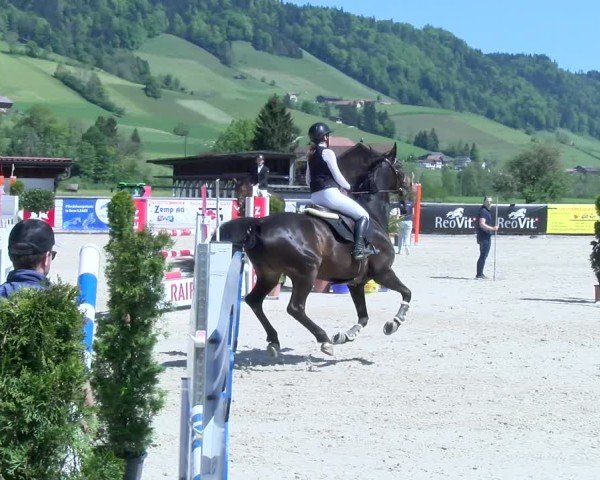 Reitturnier Schüpfheim 2025