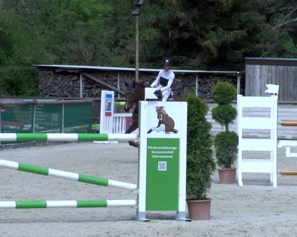 Reitturnier Schüpfheim 2025