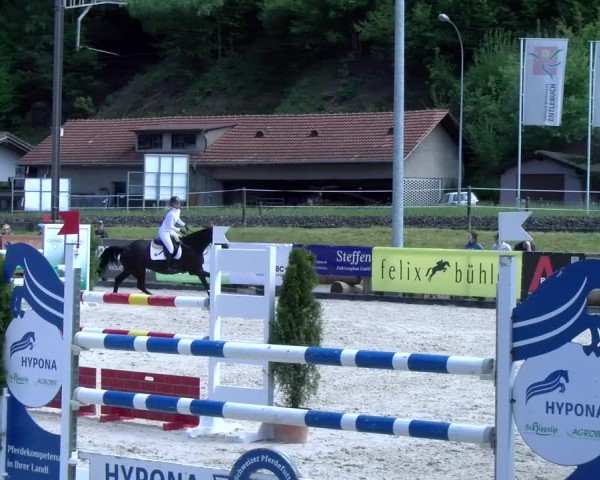 Reitturnier Schüpfheim 2025