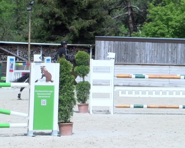 Reitturnier Schüpfheim 2025