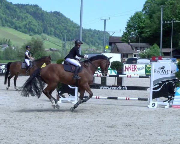 Reitturnier Schüpfheim 2025
