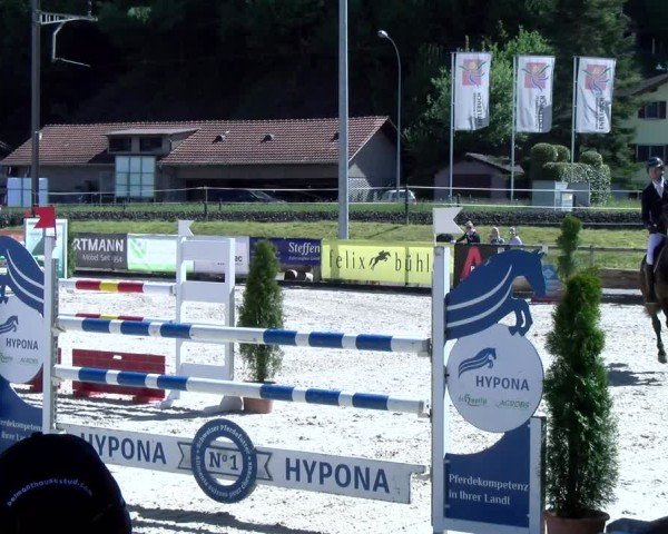 Reitturnier Schüpfheim 2025