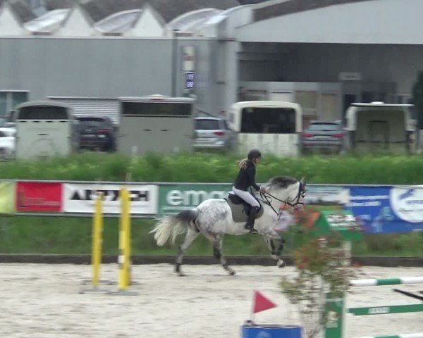 Reitturnier Werdenberg 2025