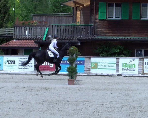 Reitturnier Schüpfheim 2025