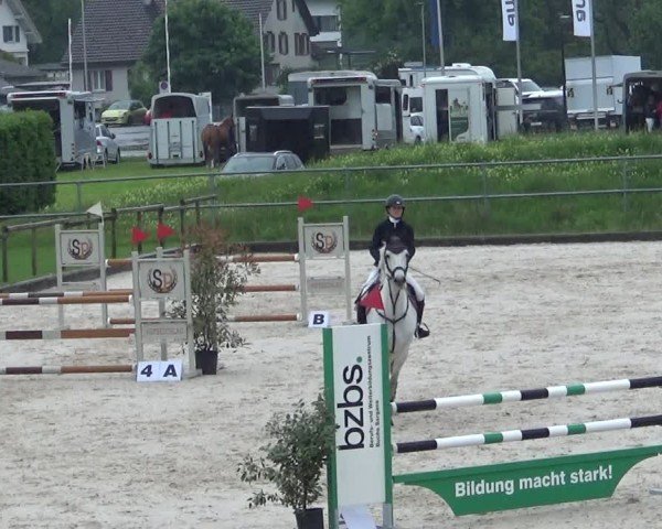 Reitturnier Werdenberg 2025
