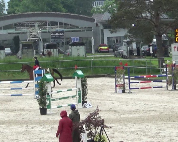Reitturnier Werdenberg 2025