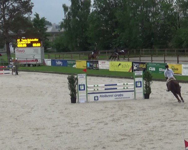 Reitturnier Werdenberg 2025