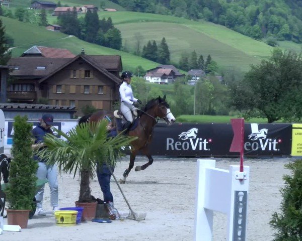 Reitturnier Schüpfheim 2025