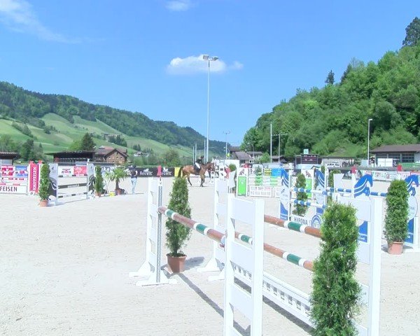 Reitturnier Schüpfheim 2025