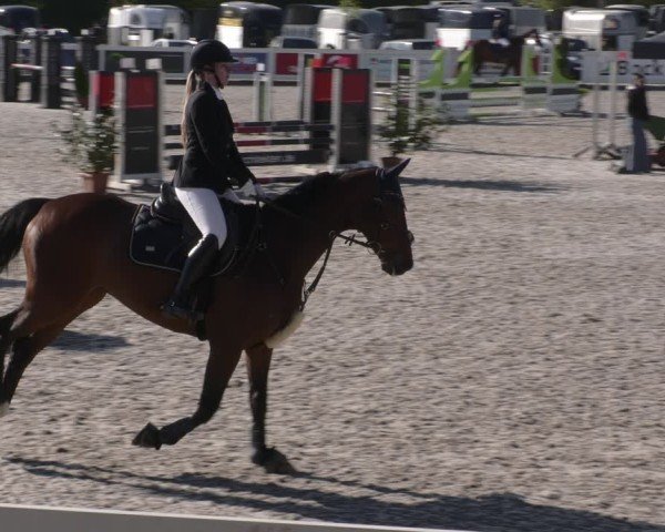 Reitturnier Babenhausen 2025