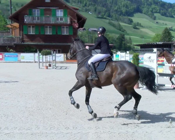 Reitturnier Schüpfheim 2025