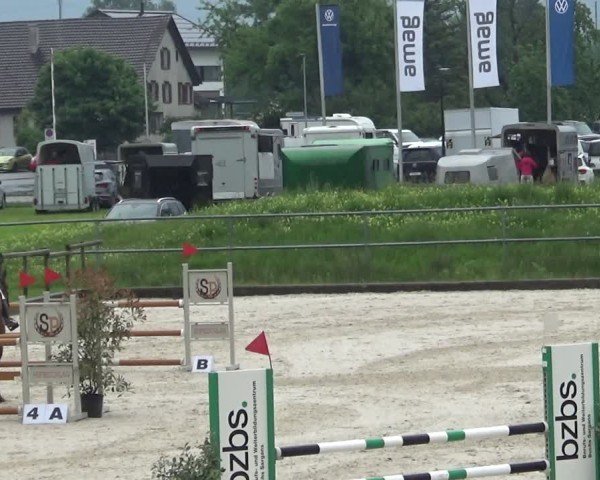 Reitturnier Werdenberg 2025