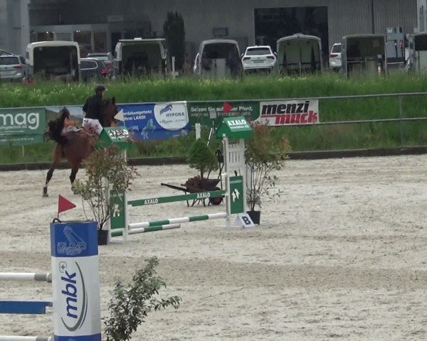 Reitturnier Werdenberg 2025