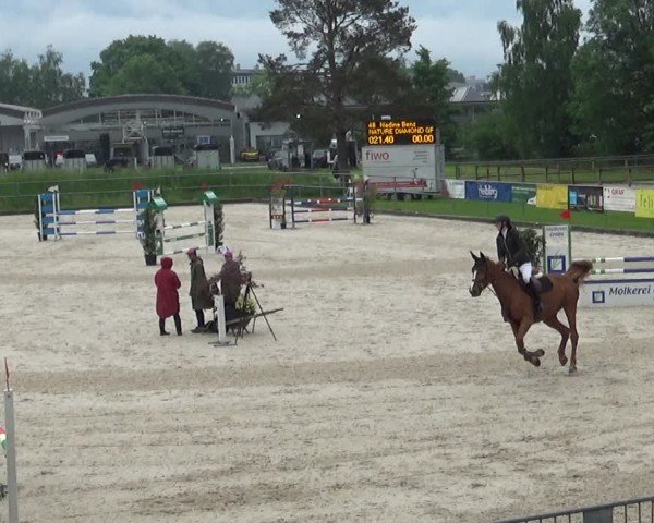 Reitturnier Werdenberg 2025