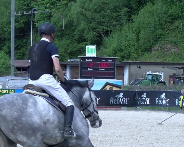 Reitturnier Schüpfheim 2025
