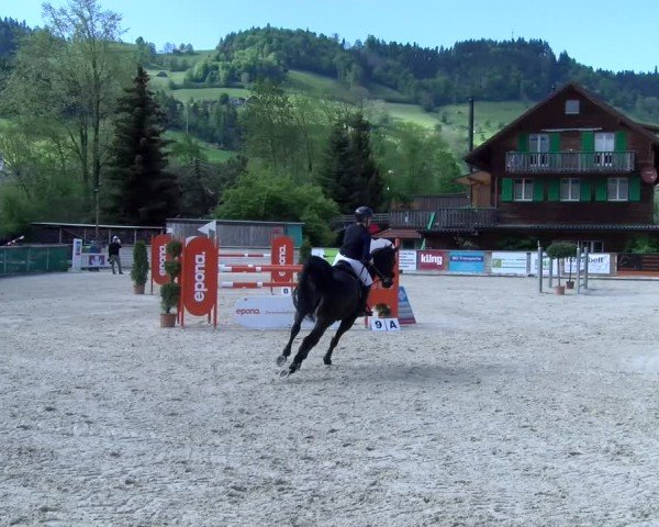 Reitturnier Schüpfheim 2025